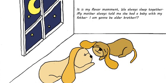 Story of Cooky: Story of Cooky