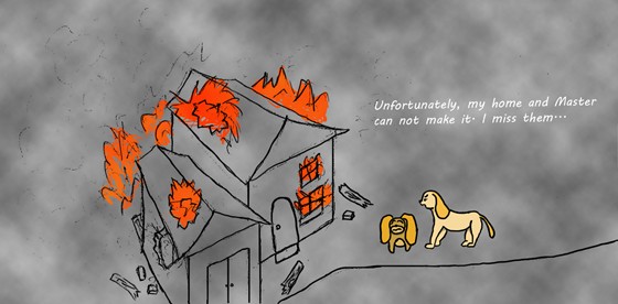 Story of Cooky: Story of Cooky