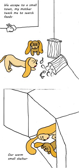 Story of Cooky: Story of Cooky