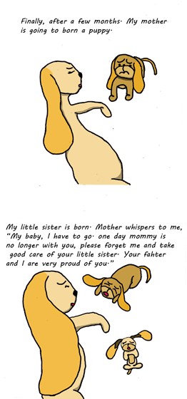 Story of Cooky: Story of Cooky