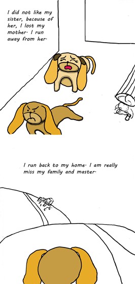 Story of Cooky: Story of Cooky