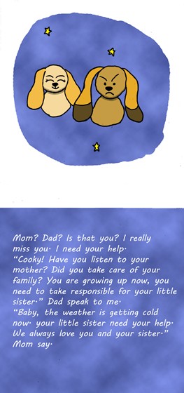 Story of Cooky: Story of Cooky