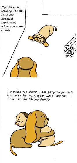 Story of Cooky: Story of Cooky