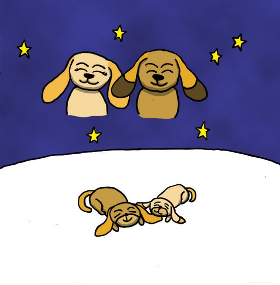 Story of Cooky: Story of Cooky