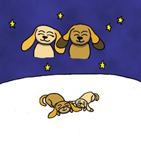 Портфолио David Chang