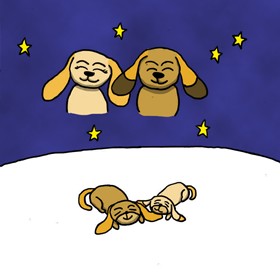 Story of Cooky: Story of Cooky